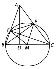 Cho tam giác ABC có các đường cao AD, BE, CF. Chứng minh rằng BCEF, CAFD, ABDE là những tứ giác nội tiếp. (ảnh 1)