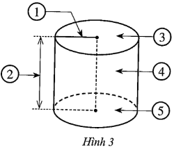 Quan sát hình trụ ở Hình 3 và nêu tên gọi thích hợp cho các vị trí được đánh số. (ảnh 1)