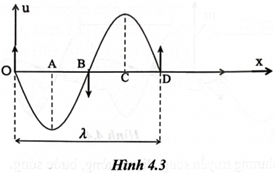 Hình 4.3 mô tả hình ảnh một sợi dây khi có sóng truyền qua: hướng truyền sóng dọc theo trục Ox, các mũi tên cho biết hướng chuyển động của các phần tử trên dây. Phát biểu nào dưới đây không đúng? (ảnh 1)