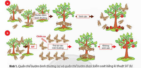 Bướm đêm (hay ngài) là một loài côn trùng thuộc bộ Cánh vảy (Lepidoptera). Đây là loài côn trùng gây hại cho (ảnh 1)