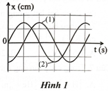 Đồ thị li độ – thời gian (x − t) của hai vật nhỏ dao động điều hoà được cho như Hình 1. Khi vẽ đồ thị, người ta chuẩn hoá sao cho mỗi cạnh của ô vuông nhỏ tương ứng 5 cm đối với cạnh thẳng đứng và 0,5 s đối với cạnh nằm ngang. Phát biểu nào sau đây là đúng? (ảnh 1)