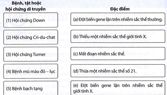 Nối tên của các bệnh, tật hoặc hội chứng di truyền ở người với nguyên nhân tương ứng. (ảnh 1)