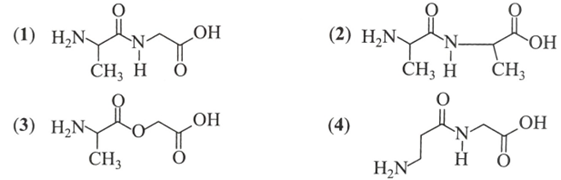 Cho các chất có công thức cấu tạo sau:  Trong các hợp chất trên, những hợp chất nào thuộc loại dipeptide? (ảnh 1)