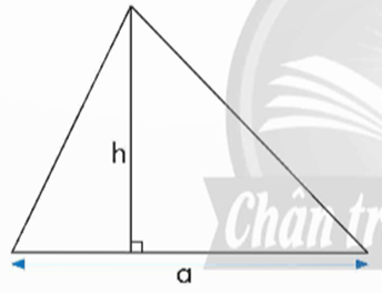 Viết vào chỗ chấm.  Muốn tính diện tích hình tam giác ta lấy độ dài ..... . (cùng một đơn vị đo) rồi   (ảnh 1)