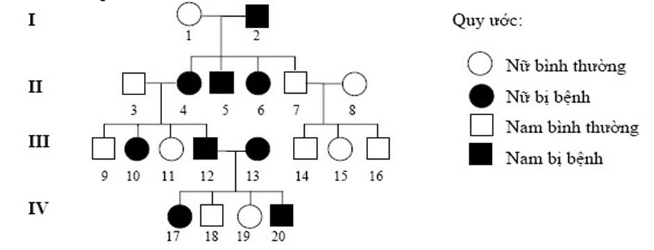 Sơ đồ phả hệ trên mô tả sự di truyền một bệnh ở người do một trong hai alen  (ảnh 1)