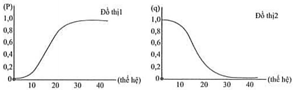 Tại một quần thể ngẫu phối, ở thế hệ xuất phát xét một gen có 2 alen A (ảnh 1)