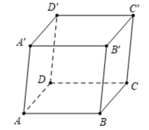 Cho hình hộp ABCD.A'B'C'D'. Trong các vectơ có điểm đầu và điểm cuối là hai đỉnh phân biệt của hình hộp: a) Vectơ nào cùng phương với vectơ AC? b) Vectơ nào bằng vectơ AD'? c) Những vectơ nào là vectơ đối của vectơ AA' (ảnh 1)