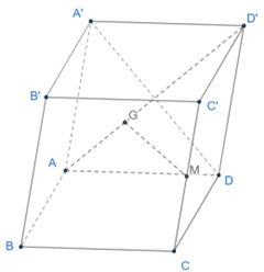 Cho hình hộp ABCD.A'B'C'D', gọi G là trọng tâm của tam giác ADA' và M là trung điểm của đoạn thẳng CC'. Hệ thức biểu diễn  (ảnh 1)