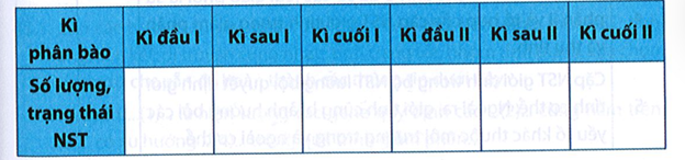 Một tế bào sinh trứng ở ruồi giấm (2n = 8) tiến hành giảm phân bình thường. Xác định số lượng NST và trạng thái (đơn hay kép) của NST theo mẫu bảng dưới đây. Biết rằng sự phân chia tế bào chất diễn ra ở kì cuối phân bào.  (ảnh 1)