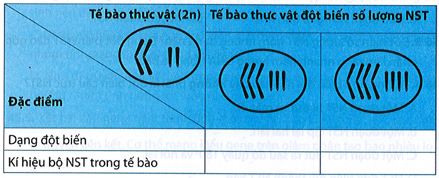 Vận dụng kiến thức đã học, hoàn thành thông tin trong bảng sau: (ảnh 1)