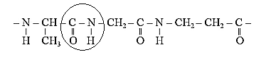 Một đoạn của phân tử protein có cấu tạo như sau:  Hãy chỉ ra những liên kết peptide có trong đoạn phân tử trên. Có bao nhiêu amino acid trong đoạn phân tử trên? Viết công thức cấu tạo của những amino acid đó. (ảnh 2)