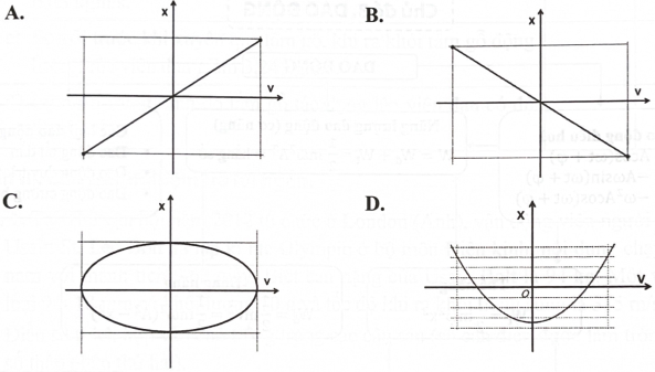Gọi x và v lần lượt là li độ và vận tốc của một dao động điều hoà. Đồ thị nào sau đây biểu diễn đúng mối liên hệ giữa hai đại lượng trên? (ảnh 1)