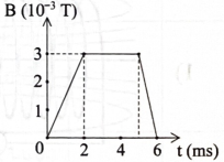 Từ trường xuyên qua một vòng dây tròn bán kính 10 cm thay đổi theo thời gian như hình vẽ bên. Biết từ trường vuông góc với mặt phẳng vòng dây. (ảnh 1)