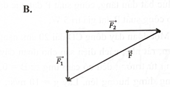 Một vật chịu tác dụng đồng thời của hai lực F1 vàF2 có phương vuông góc với nhau. Hình vẽ nào dưới đây biểu diễn đúng hợp lực F) của hai lực  (ảnh 2)