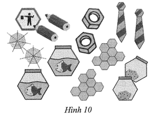Các hình phẳng đều có trong Hình 10 cho ta hình ảnh của đa giác đều nào? Tính số đo góc của đa giác đều đó. (ảnh 1)