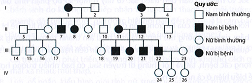 Ở người, một trong những phương pháp để nghiên cứu sự di truyền các tính trạng ở người là nghiên cứu phả hệ. Sơ đồ phả hệ được xây dựng nhằm thể hiện mối quan hệ giữa cá thể trong cùng (ảnh 1)