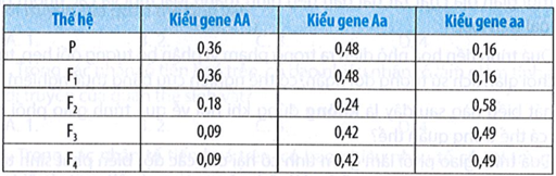 Nghiên cứu sự thay đổi thành phần kiểu gene của quần thể giao phối qua 5 thế hệ liên tiếp thu được kết quả như bảng dưới đây. Dựa vào thông tin trong bảng, hãy cho biết: (ảnh 1)