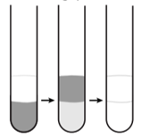 Khi thực hành thí nghiệm phản ứng của hexane  Cần tiến hành các bước: Bước 1: Cho vào ống nghiệm khô khoảng  hexane và nhỏ thêm vào ống nghiệm khoảng  nước bromine. Quan sát màu sắc sau đó lắc nhẹ hỗn hợp rồi để yên 10 phút. (ảnh 1)