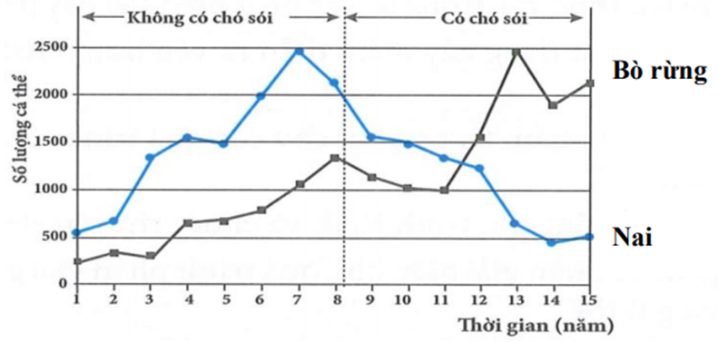 Nai và bò rừng là hai loài ăn cỏ sống trong cùng một khu vực. Hình dưới mô tả những thay đổi về số lượng cá thể trong quần thể của hai loài này trước (ảnh 1)