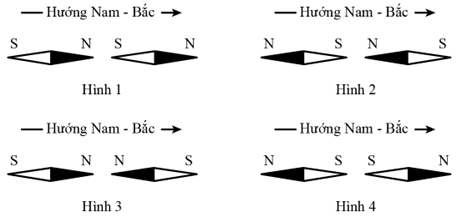 Hai kim nam châm nhỏ đặt trên Trái Đất xa các dòng điện và các nam châm khác; đường nối hai trọng tâm của chúng nằm theo hướng Nam – Bắc.  (ảnh 1)