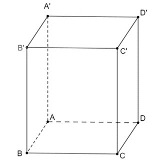 Cho hình hộp chữ nhật ABCD.A'B'C'D' có AB = AD = 1 và AA' = 2. Tính độ dài của các vectơ sau: a) vecto BD; b) vecto CD'; c) vecto AC'. (ảnh 1)