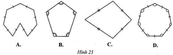 Quan sát các đa giác ở Hình 23 và cho biết hình nào là đa giác đều. (ảnh 1)