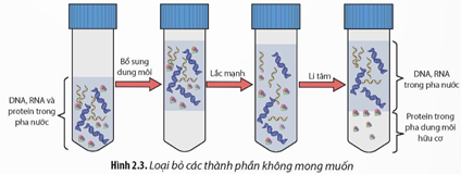 Quan sát Hình 2.3, hãy mô tả các bước loại bỏ protein. (ảnh 1)