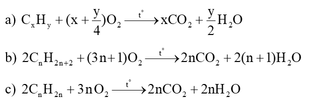 Hoàn thành các phương trình hoá học sau: a)	CxHy + ?    CO2 + H2O b)	? + (3n + 1 )O2   2nCO2 + 2(n + 1)H2O c)	? + 3nO2  2n CO2 + 2nH2O (ảnh 2)