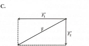 Một vật chịu tác dụng đồng thời của hai lực F1 vàF2 có phương vuông góc với nhau. Hình vẽ nào dưới đây biểu diễn đúng hợp lực F) của hai lực  (ảnh 3)