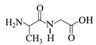 Cho peptide   có công thức cấu tạo sau:   Khi thuỷ phân hoàn toàn   trong môi trường   thu được sản phẩm hữu cơ có công thức là   (ảnh 1)