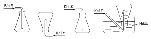 Các chất khí X, Y, Z, T được điều chế trong phòng thí nghiệm và thu theo đúng nguyên tắc các hình vē dưới đây: Nhận xét nào sau đây là đúng? 	 (ảnh 1)