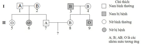 Theo lí thuyết, xác suất sinh con trai có nhóm máu A và không bị bệnh P của cặp 7 - 8 là bao nhiêu? Đáp án: ………. (ảnh 1)