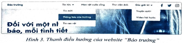 Ở bài EicT9, em đã tạo dự án website “Bảo trường” gồm có (ảnh 1)