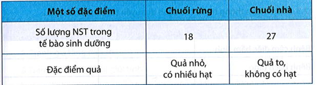 Một số đặc điểm khác biệt giữa chuối rừng và chuối nhà được trình bày trong bảng sau:  a) Giải thích sự khác nhau về số lượng NST giữa chuối nhà và chuối rừng. (ảnh 1)