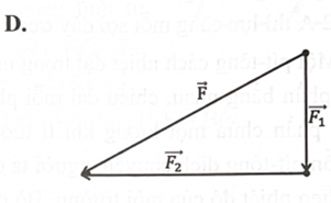 Một vật chịu tác dụng đồng thời của hai lực F1 vàF2 có phương vuông góc với nhau. Hình vẽ nào dưới đây biểu diễn đúng hợp lực F) của hai lực  (ảnh 4)
