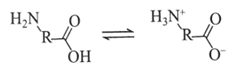 Mỗi phát biểu sau là đúng hay sai?  (a). Trong dung dịch, các amino acid tồn tại theo cân bằng:  (b). Đa số các amino acid tinh khiết tồn tại ở trạng thái rắn. (ảnh 1)