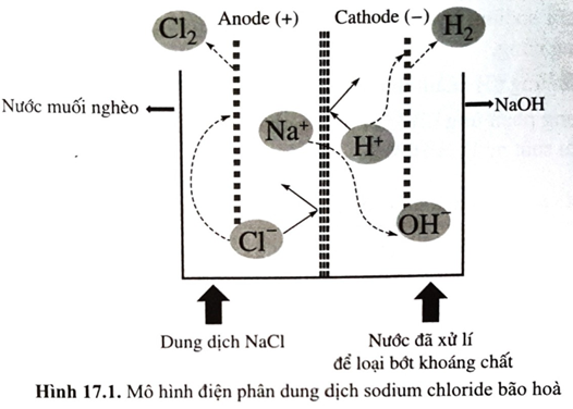 Trong thực tế, trong quá trình điện phân dung dịch sodium chloride bão hòa, sau một thời gian, dung dịch NaCl tại anode được gọi là “nước muối nghèo” và được đưa ra khỏi bể điện phân; (ảnh 1)