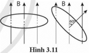 Một vòng dây dẫn phẳng hình tròn có diện tích S = 30 cm2 ở trong một từ trường đều có B = 0,2 T. Chiều của dòng điện cảm ứng trong vòng dây. (ảnh 1)