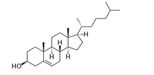 Cholesterol là một hợp chất thiết yếu được tìm thấy ở hầu hết các mô trong cơ thể, bao gồm cả tế bào thần kinh. Mức cholesterol trên mức bình thường  (ảnh 1)