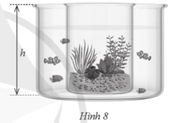 Bác An có một bình hình trụ to với chiều cao h (cm). Bác đặt một bình cây thuỷ sinh cũng có dạng hình trụ với chiều cao h (cm) vào bên trong bình hình trụ to đó. (ảnh 1)