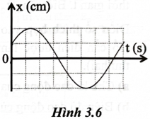 Đồ thị li độ – thời gian của một vật dao động điều hoà được cho như Hình 3.6. Xét tính đúng/sai của các phát biểu sau:  (ảnh 1)