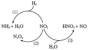 Nitrogen dioxide \(\left( {{\rm{N}}{{\rm{O}}_2}} \right)\) là nguyên liệu điều chế nhiều chất vô cơ. Sơ đồ hình dưới đây biểu diễn quá trình điều chế một số  (ảnh 1)