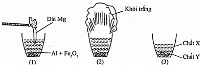 Cho các phát biểu sau: (a) X là Fe nóng chảy và Y là \[A{l_2}{O_3}\]nóng chảy. (b) Phần khói trắng bay ra là \[A{l_2}{O_{3.}}\]  (ảnh 1)