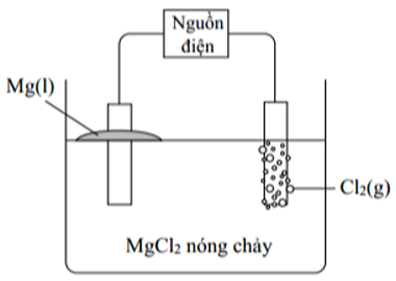 \({\rm{MgC}}{{\rm{l}}_2}\) nóng chảy có thể bị phân hủy thành các nguyên tố nếu như đặt một điện áp đủ lớn vào hai điện cực trơ.  (ảnh 1)