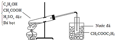 Phản ứng điều chế ethyl acetate trong phòng thí nghiệm được mô tả như hình vẽ: Cho các phát biểu sau: (a) Ethyl acetate có nhiệt độ sôi thấp nên dễ bị (ảnh 1)