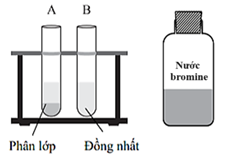 Ống nghiệm nào chứa hydrocarbon không no? 	A. Ống nghiệm A.		B. Ống nghiệm B. 	C. Cả hai ống nghiệm.		D. Không ống nghiệm nào. (ảnh 1)