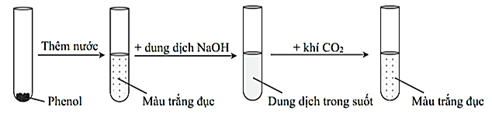 Tiến hành thí nghiệm theo các bước sau để kiểm chứng tính chất của phenol.   Phát biểu nào sau đây là sai?  (ảnh 1)