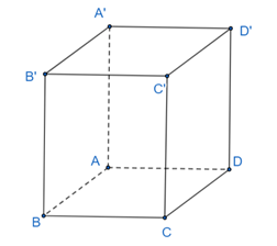 Cho hình lăng trụ đứng ABCD.A'B'C'D'. Biết rằng AA' = 2 và tứ giác ABCD là hình thoi có AB = 1 và góc ABC = 60°, hãy tính góc giữa các cặp vectơ sau và từ đó  (ảnh 1)