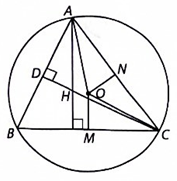 Cho tam giác nhọn ABC nội tiếp đường tròn (O). Gọi H là trực tâm của tam giác ABC và M là trung điểm của BC. Chứng minh rằng AH = 2OM. (ảnh 1)