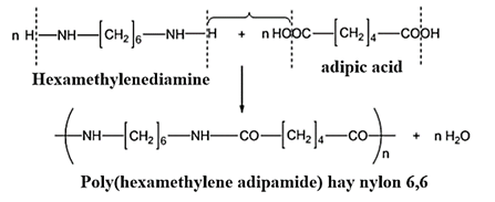 Hai monome khác nhau phản ứng với nhau để tạo thành polyamide. Hãy gọi chúng là A và B. Chỉ có nhóm chức của chúng tham gia phản ứng. (ảnh 4)